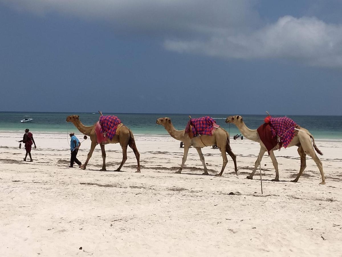Bed and Breakfast Zarafa House Diani Beach Esterno foto